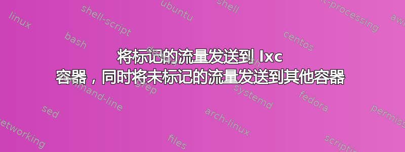 将标记的流量发送到 lxc 容器，同时将未标记的流量发送到其他容器