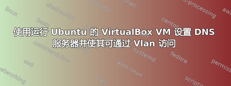 使用运行 Ubuntu 的 VirtualBox VM 设置 DNS 服务器并使其可通过 Vlan 访问