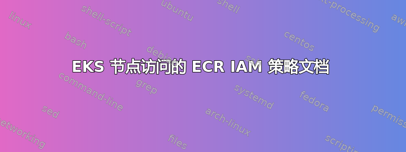 EKS 节点访问的 ECR IAM 策略文档