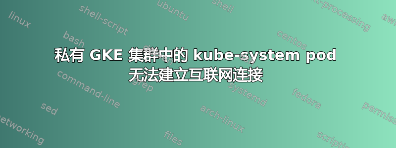 私有 GKE 集群中的 kube-system pod 无法建立互联网连接