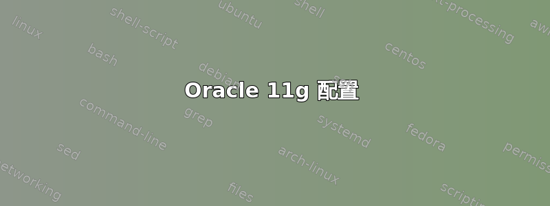 Oracle 11g 配置