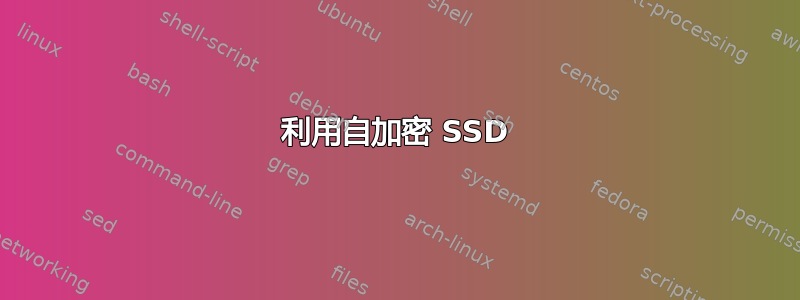 利用自加密 SSD