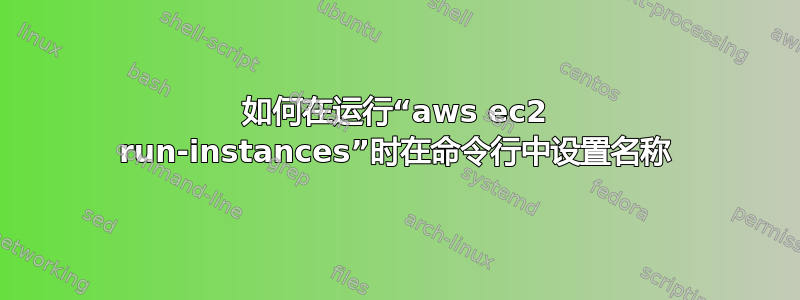 如何在运行“aws ec2 run-instances”时在命令行中设置名称