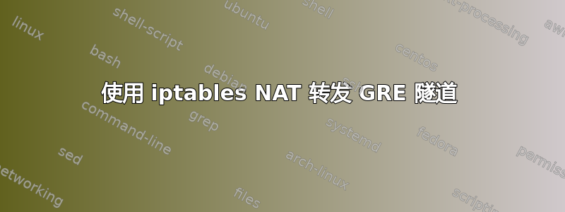 使用 iptables NAT 转发 GRE 隧道