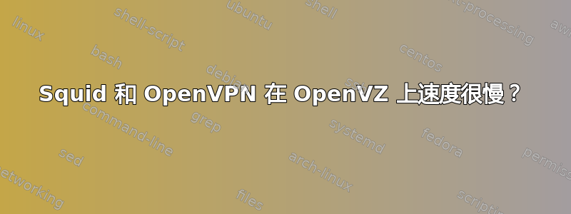 Squid 和 OpenVPN 在 OpenVZ 上速度很慢？