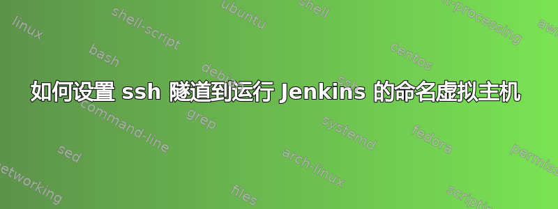 如何设置 ssh 隧道到运行 Jenkins 的命名虚拟主机