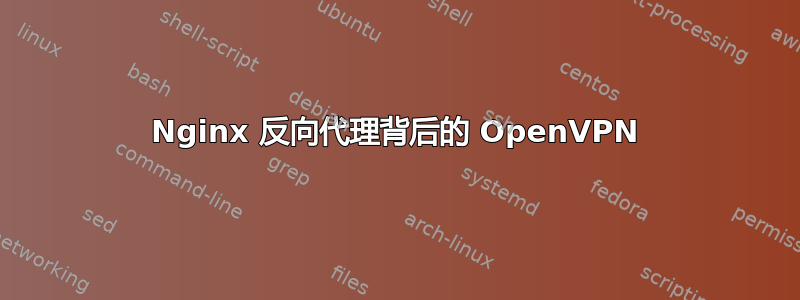 Nginx 反向代理背后的 OpenVPN