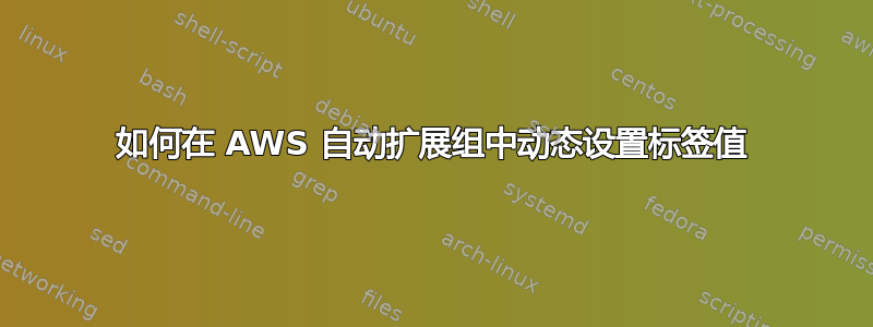 如何在 AWS 自动扩展组中动态设置标签值