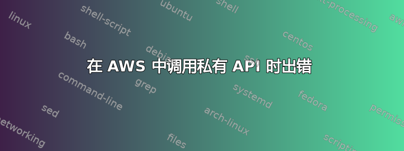 在 AWS 中调用私有 API 时出错