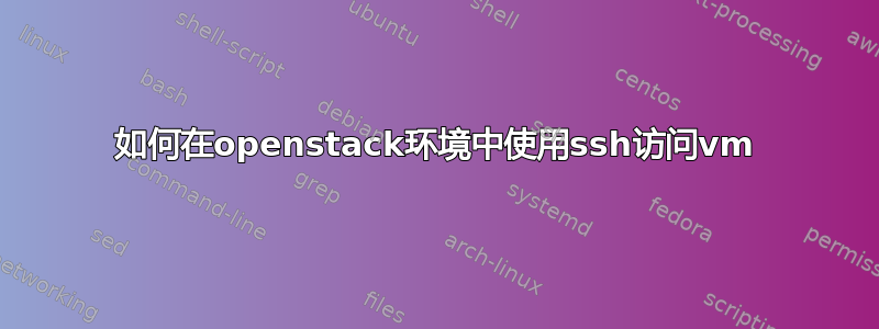 如何在openstack环境中使用ssh访问vm