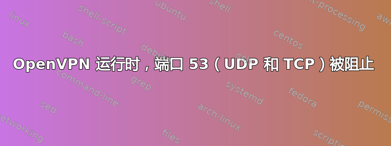 OpenVPN 运行时，端口 53（UDP 和 TCP）被阻止