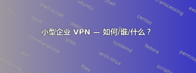 小型企业 VPN — 如何/谁/什么？