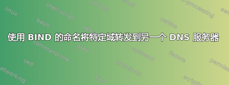 使用 BIND 的命名将特定域转发到另一个 DNS 服务器