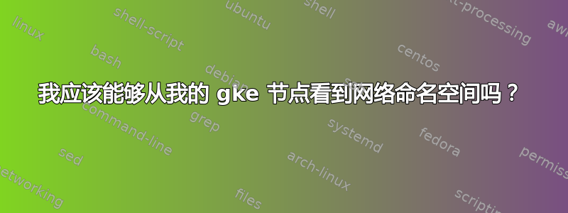 我应该能够从我的 gke 节点看到网络命名空间吗？