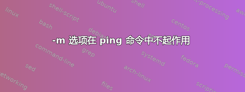 -m 选项在 ping 命令中不起作用