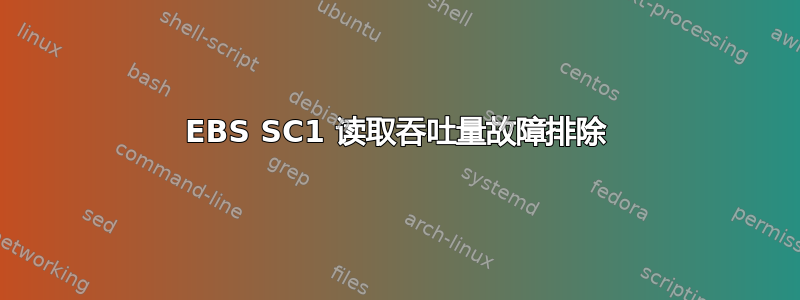 EBS SC1 读取吞吐量故障排除