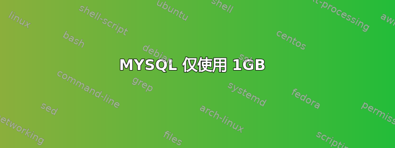 MYSQL 仅使用 1GB 