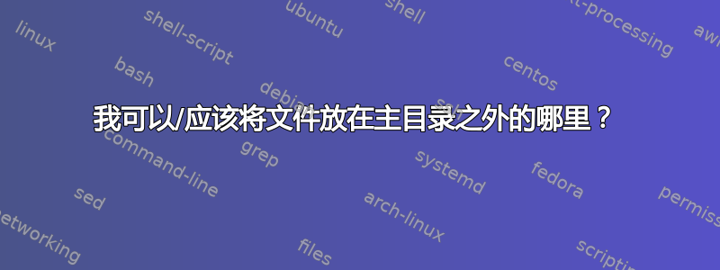 我可以/应该将文件放在主目录之外的哪里？