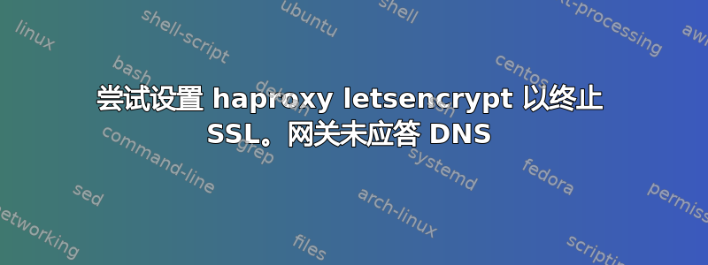 尝试设置 haproxy letsencrypt 以终止 SSL。网关未应答 DNS