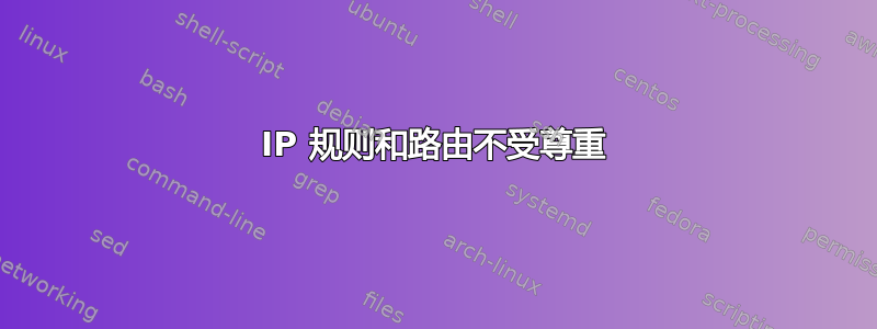 IP 规则和路由不受尊重