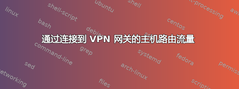 通过连接到 VPN 网关的主机路由流量