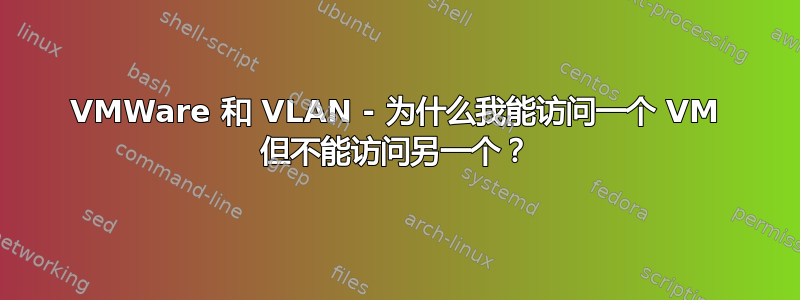 VMWare 和 VLAN - 为什么我能访问一个 VM 但不能访问另一个？