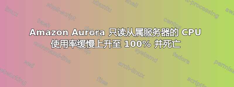 Amazon Aurora 只读从属服务器的 CPU 使用率缓慢上升至 100% 并死亡