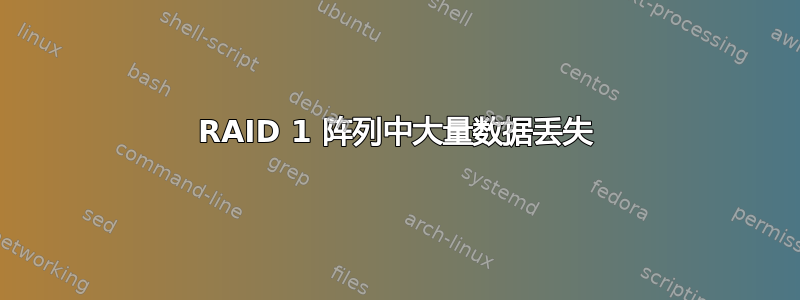 RAID 1 阵列中大量数据丢失