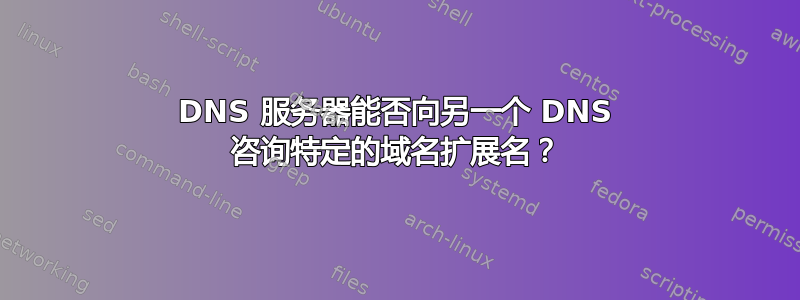 DNS 服务器能否向另一个 DNS 咨询特定的域名扩展名？