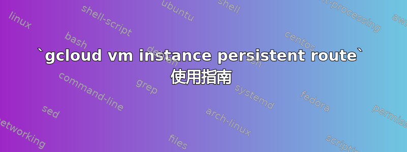 `gcloud vm instance persistent route` 使用指南