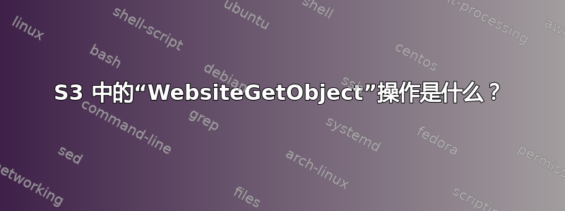 S3 中的“WebsiteGetObject”操作是什么？