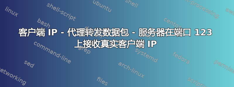 客户端 IP - 代理转发数据包 - 服务器在端口 123 上接收真实客户端 IP