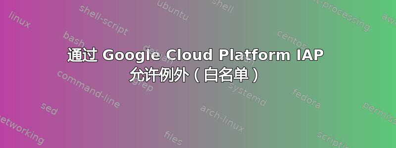 通过 Google Cloud Platform IAP 允许例外（白名单）