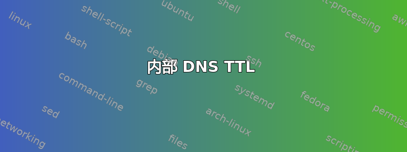 内部 DNS TTL