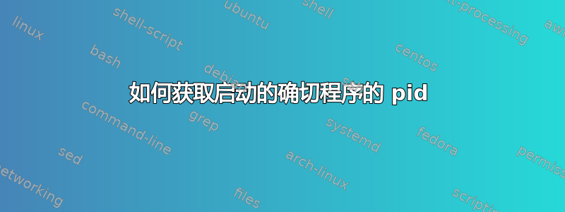 如何获取启动的确切程序的 pid