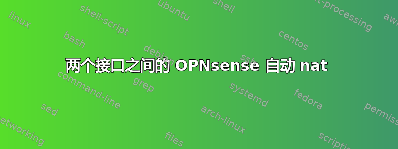 两个接口之间的 OPNsense 自动 nat