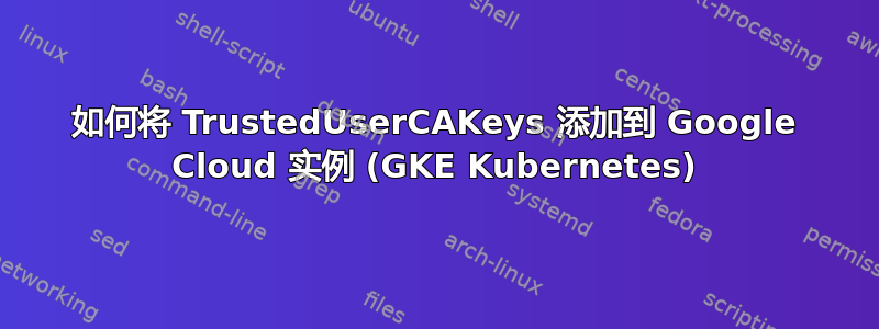 如何将 TrustedUserCAKeys 添加到 Google Cloud 实例 (GKE Kubernetes)