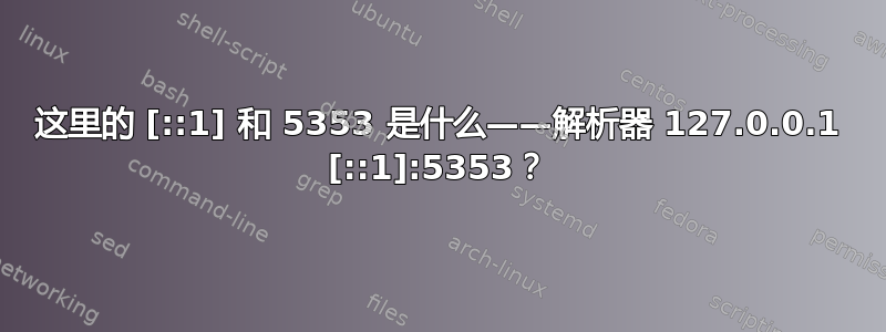 这里的 [::1] 和 5353 是什么——解析器 127.0.0.1 [::1]:5353？