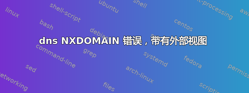 dns NXDOMAIN 错误，带有外部视图