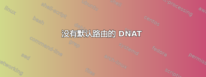 没有默认路由的 DNAT