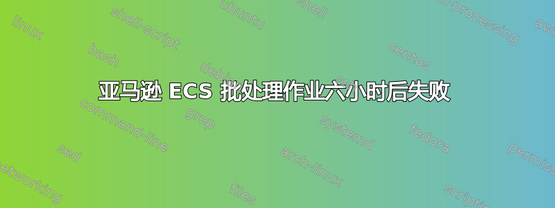 亚马逊 ECS 批处理作业六小时后失败