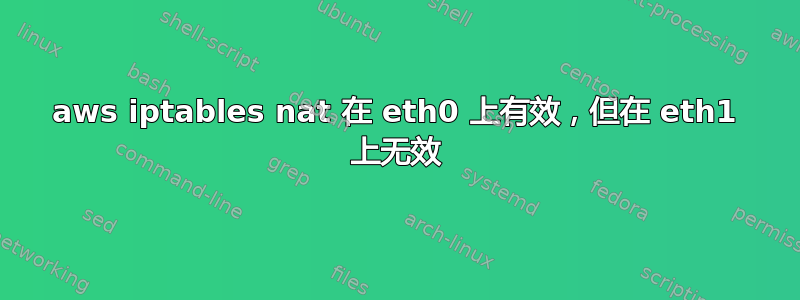 aws iptables nat 在 eth0 上有效，但在 eth1 上无效