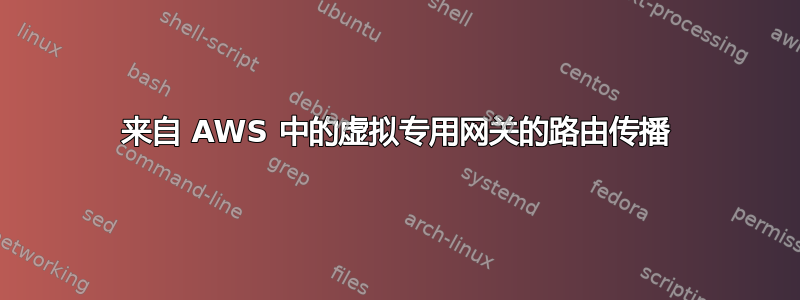 来自 AWS 中的虚拟专用网关的路由传播