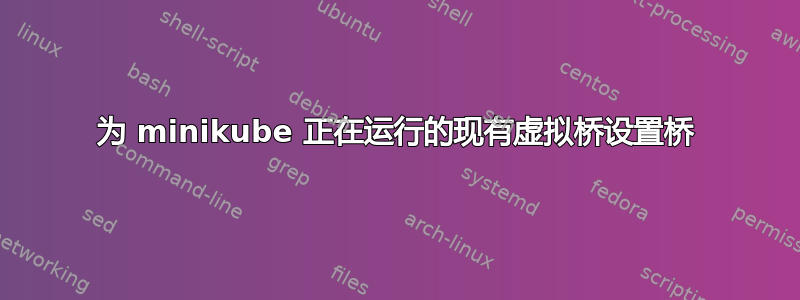 为 minikube 正在运行的现有虚拟桥设置桥