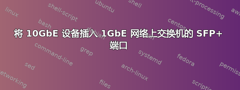 将 10GbE 设备插入 1GbE 网络上交换机的 SFP+ 端口