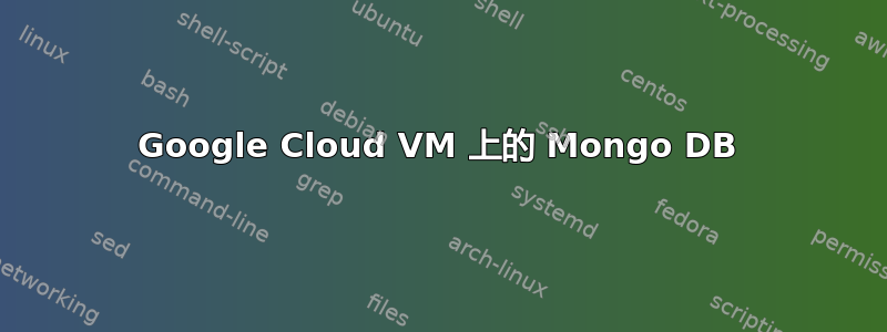 Google Cloud VM 上的 Mongo DB