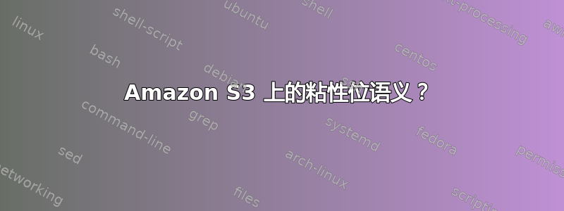 Amazon S3 上的粘性位语义？