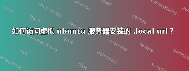 如何访问虚拟 ubuntu 服务器安装的 .local url？