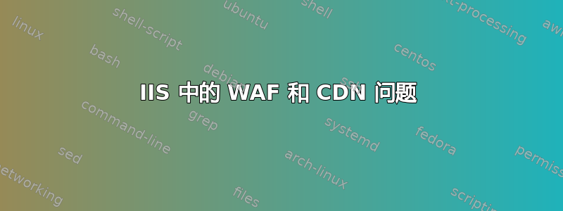 IIS 中的 WAF 和 CDN 问题