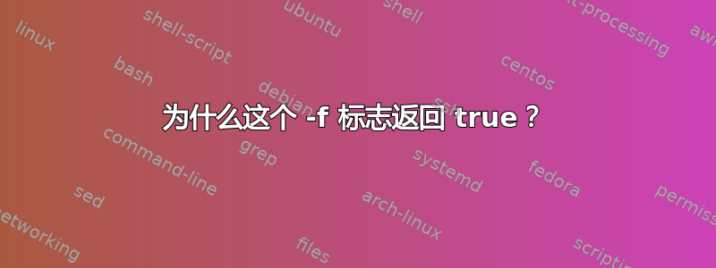 为什么这个 -f 标志返回 true？